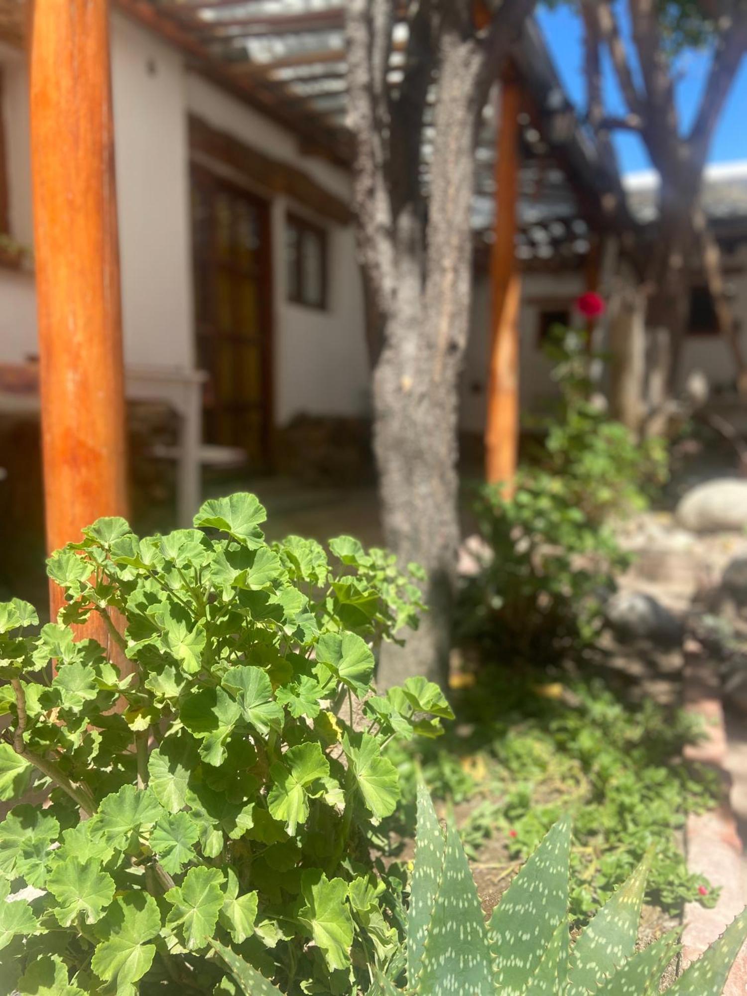 Hostal Tierra Andina Кафаяте Екстер'єр фото